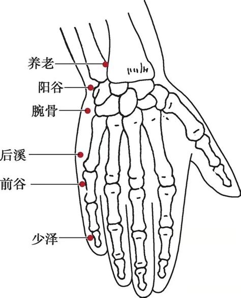 潛穴|潛穴的意思